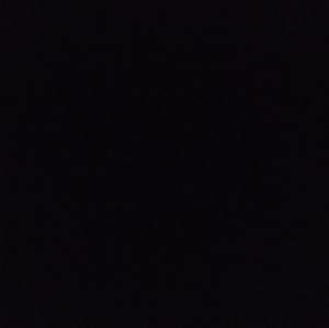 Meet your Posher, Wilfredo junior